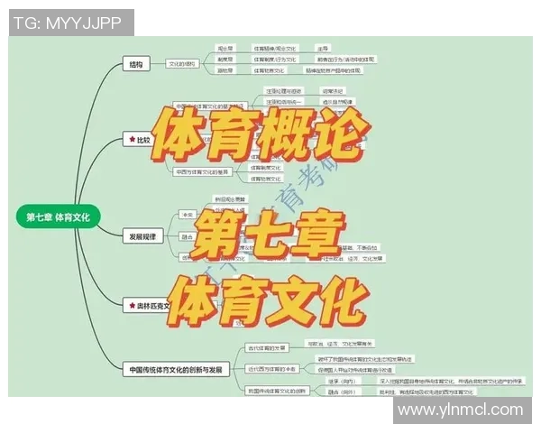 体育与健康的完美结合探索：从运动习惯到竞技精神的全面解读