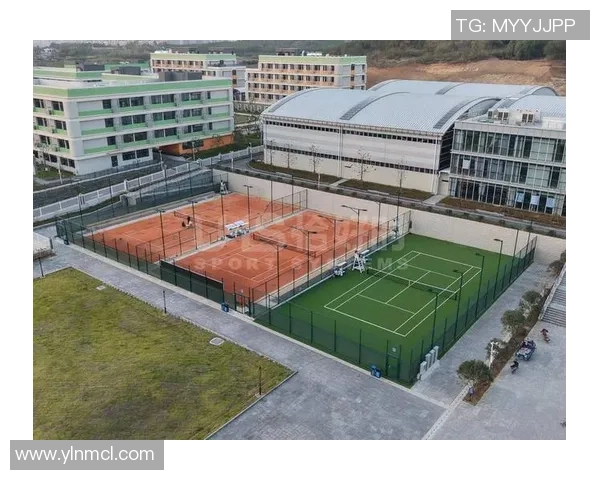 网球运动的魅力与科学训练探究现代竞技与身心发展的融合之路